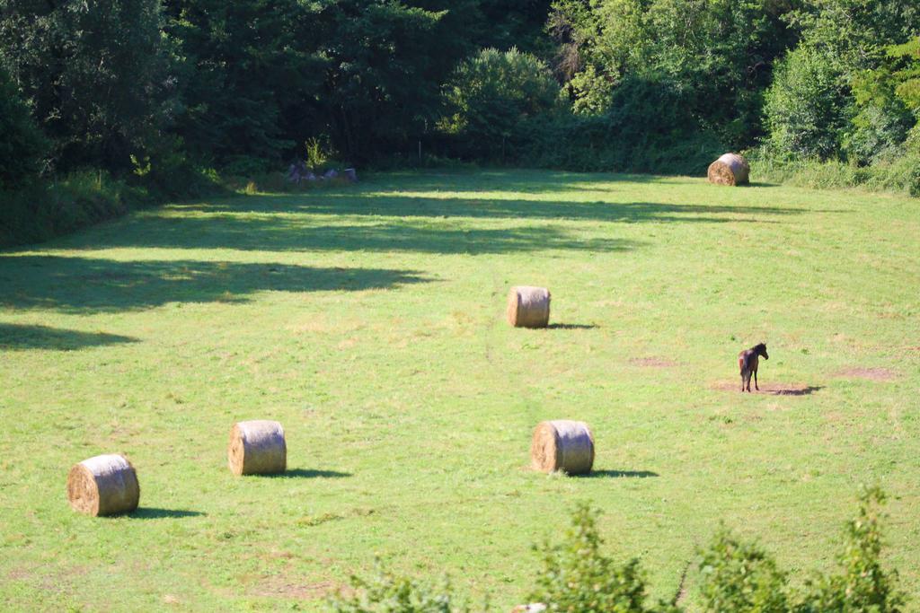 Agriturismo Casale La Palombara Cerreto di Spoleto Luaran gambar